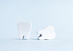 歯の形の置物